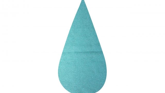 中島みゆきがパトリシア カースに提供した かもめの歌 にはかもめはいなかった 記憶の中の中島みゆき